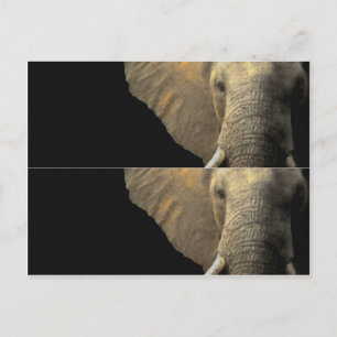 Carte Postale Marqueur du livre Elephant Portrait