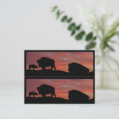 Carte Postale Marqueurs de livres de bison (Debout devant)