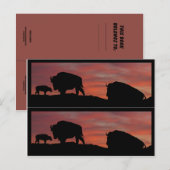 Carte Postale Marqueurs de livres de bison (Devant / Derrière)