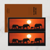 Carte Postale Marqueurs de livres de famille Elephant (Devant / Derrière)