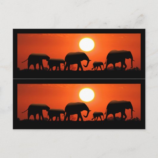 Carte Postale Marqueurs de livres de famille Elephant (Devant)