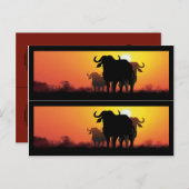 Carte Postale Marqueurs de livres du Cap Buffalo (Devant / Derrière)