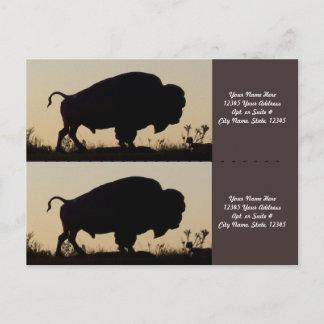 Carte Postale Marqueurs de silhouette de Buffalo