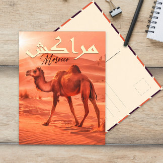 Carte Postale Marrakech Maroc chameau Vintage Voyage Souvenirs