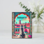 Carte Postale Marrakech Maroc Chat Voyage Tourisme Souvenir (Debout devant)