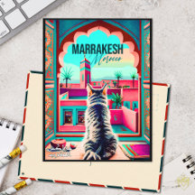 Marrakech Maroc Chat Voyage Tourisme Souvenir