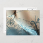 Carte postale Mars tatouée (Devant / Derrière)