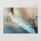 Carte postale Mars tatouée (Devant)