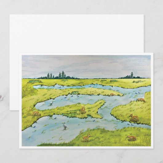 Carte postale Marsh (Devant / Derrière)