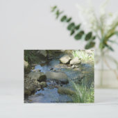 Carte Postale Marsh Creek au printemps (Debout devant)