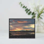 Carte postale Marsh Sunset #2 (Debout devant)