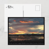 Carte postale Marsh Sunset #2 (Devant / Derrière)