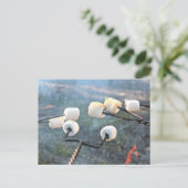 Carte postale Marshmallows (Debout devant)