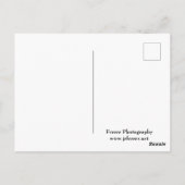 Carte Postale Marthaler Park Snowy Hills (Dos)