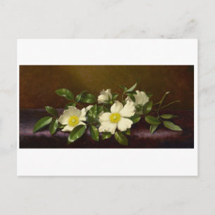 Carte Postale Martin Heade Cherokee Roses en tissu violet