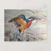 Carte Postale Martin-pêcheur (Devant)