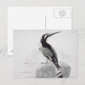 Carte Postale Martin-pêcheur noir et blanc (Devant / Derrière)