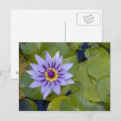 Carte Postale Martinique, Antilles françaises, Antilles occident (Devant / Derrière)