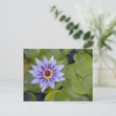 Carte Postale Martinique, Antilles françaises, Antilles occident (Debout devant)