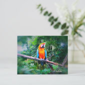 Carte Postale Martinique Macaw (Debout devant)