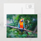 Carte Postale Martinique Macaw (Devant / Derrière)