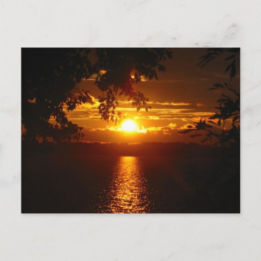 Carte Postale Maryland 2005 (Devant)