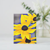 Carte Postale Maryland Black Eyed Susan (Debout devant)