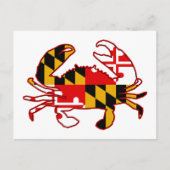 Carte Postale Maryland Flag (Devant)