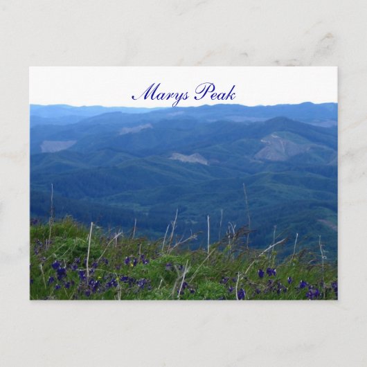 Carte Postale Marys Peak (Devant)