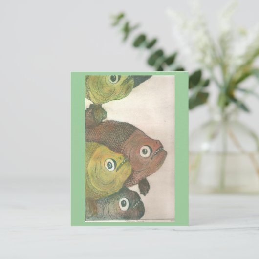 Carte Postale mas piranhas (Debout devant)