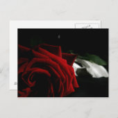 Carte Postale Mascarade (Devant / Derrière)