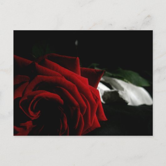 Carte Postale Mascarade (Devant)