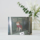 Carte Postale Mascotte du musée du bureau de poste national Owne (Debout devant)