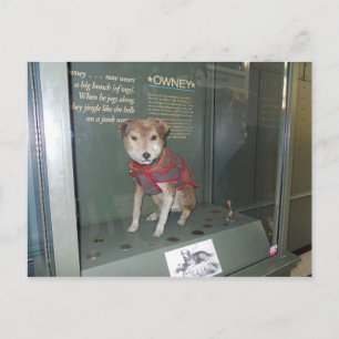 Carte Postale Mascotte du musée du bureau de poste national Owne
