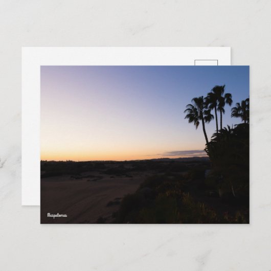 Carte Postale Maspalomas (Devant / Derrière)