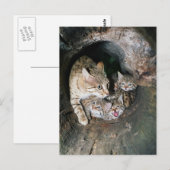 Carte postale - Masque asiatique (Devant / Derrière)