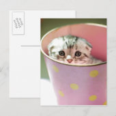 Carte Postale Masque de chaton (Devant / Derrière)