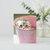 Carte Postale Masque de chaton (Debout devant)