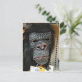 Carte Postale Masque Gorilla (Debout devant)