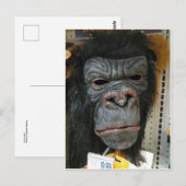 Carte Postale Masque Gorilla (Devant / Derrière)