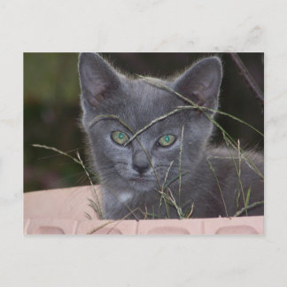 Carte Postale Masque Natasha