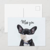 Carte Postale Masque visage sur French Bulldog (Devant / Derrière)