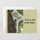 Carte Postale Masquer et rechercher (Devant / Derrière)