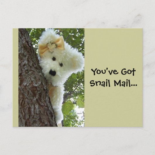 Carte Postale Masquer et rechercher (Devant)