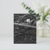 Carte Postale Masquer et rechercher (Debout devant)