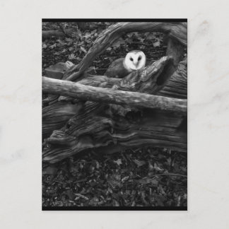 Carte Postale Masquer et rechercher