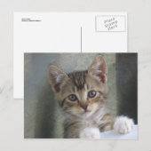 Carte Postale Masquer Kitten (Devant / Derrière)