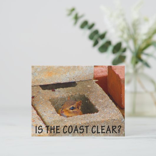 Carte Postale Masquer l'écureuil (Debout devant)