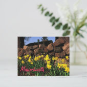 Carte postale Massachusetts (Debout devant)