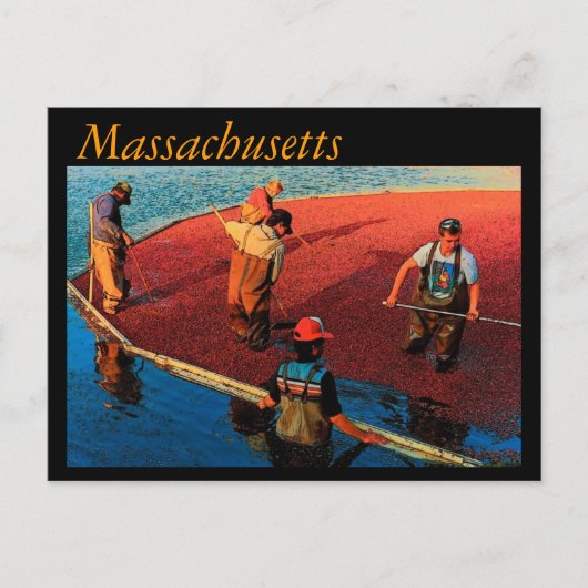 Carte postale Massachusetts (Devant)